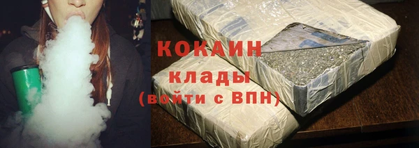 индика Балахна