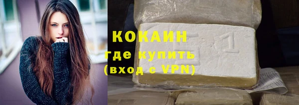 индика Балахна
