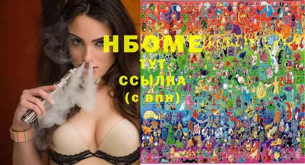 индика Балахна