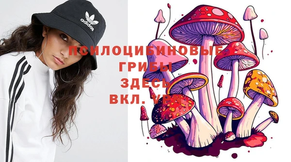 прущая мука Аркадак