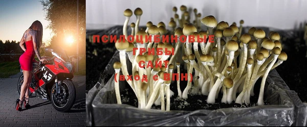 индика Балахна