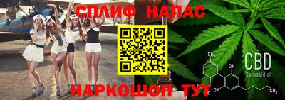 ГАЛЛЮЦИНОГЕННЫЕ ГРИБЫ Гатчина
