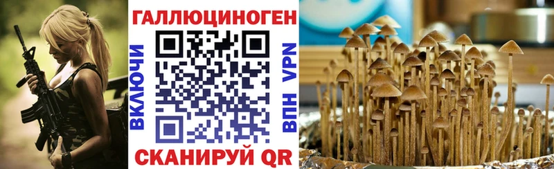 Галлюциногенные грибы мухоморы  купить наркоту  Улан-Удэ 