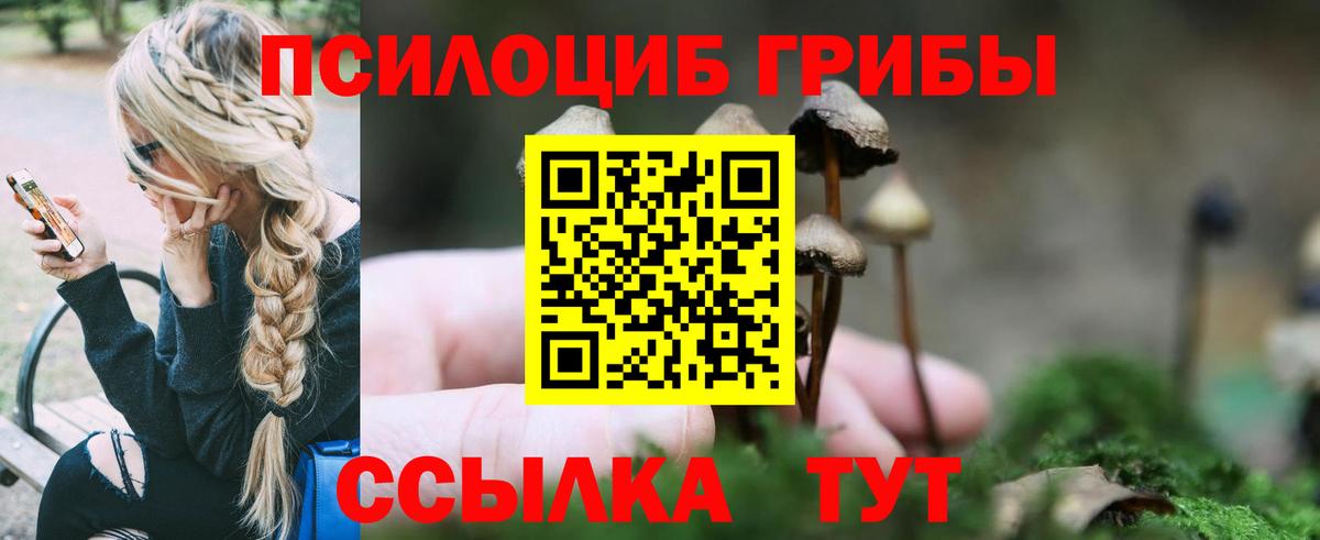 Галлюциногенные грибы прущие грибы Улан-Удэ