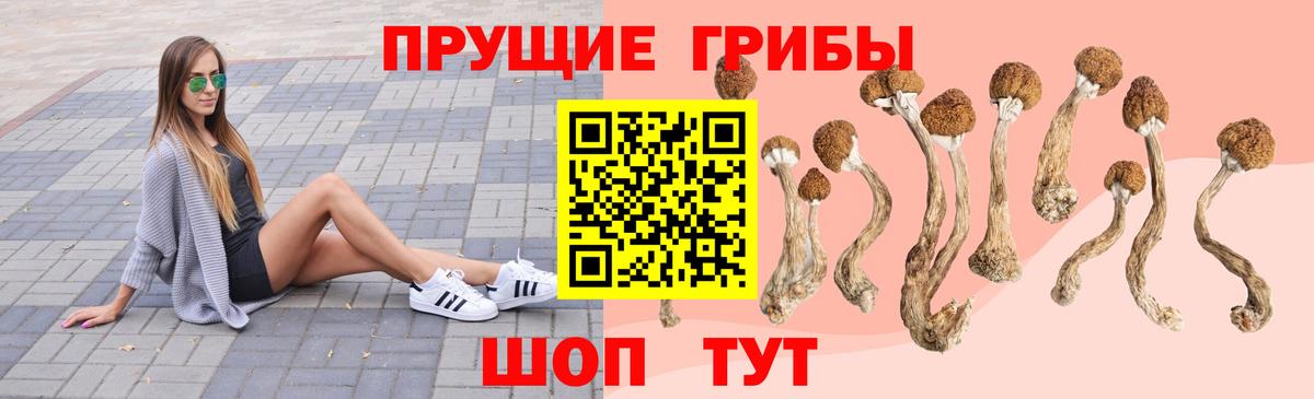 Псилоцибиновые грибы Psilocybe  Псилоцибиновые грибы Psilocybe  Улан-Удэ  Вход с VPN 