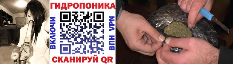 Бошки Шишки планчик  Улан-Удэ 